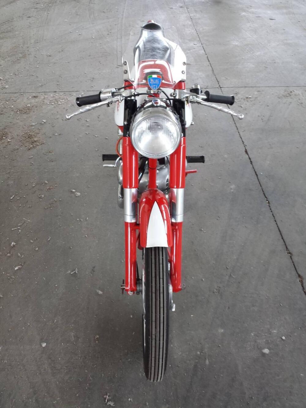 Morini Tresette Sprint 175 (2)