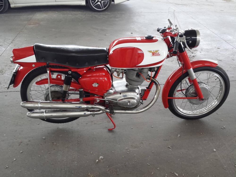 Morini Tresette Sprint 175 (3)