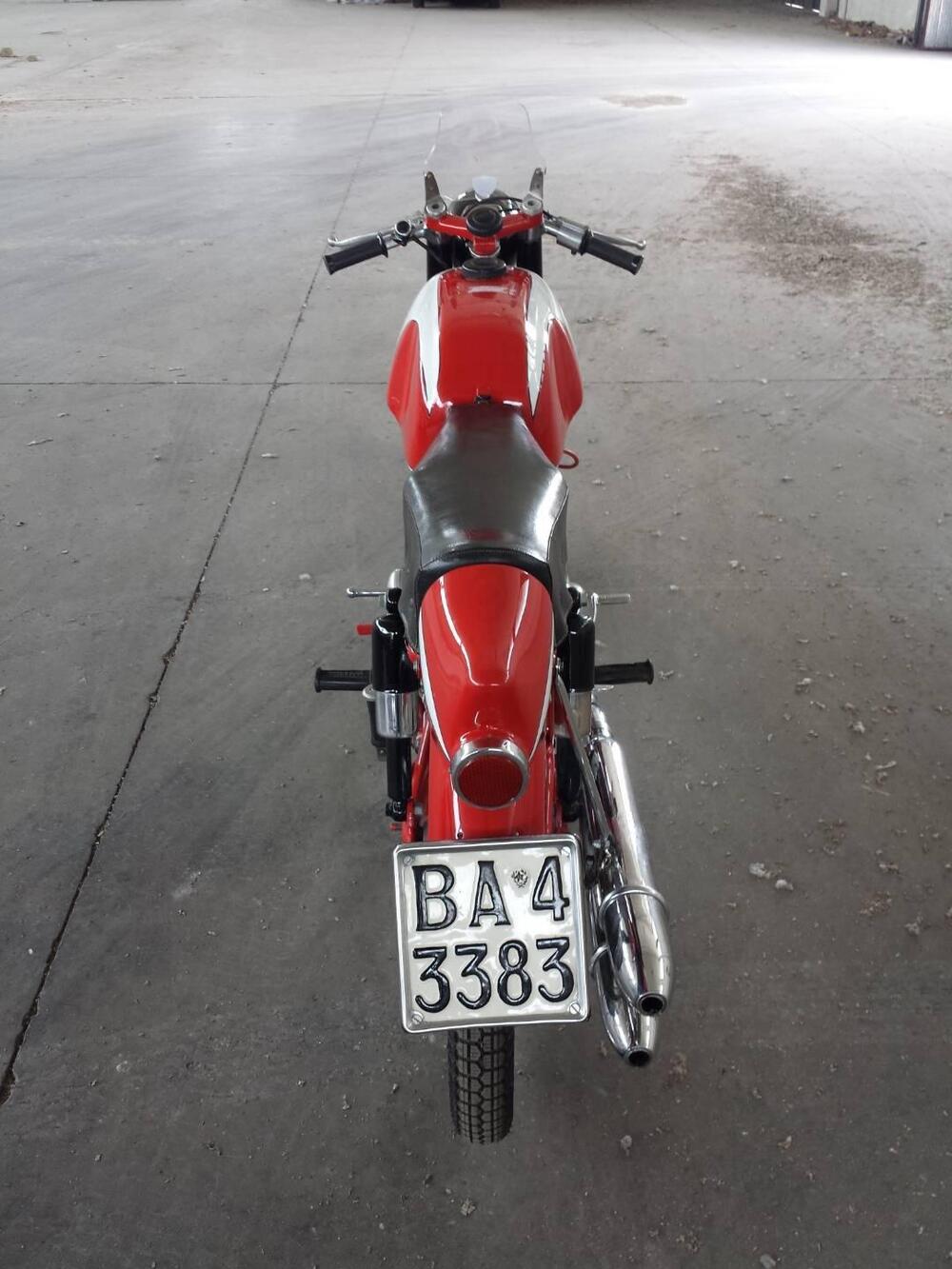 Morini Tresette Sprint 175 (4)