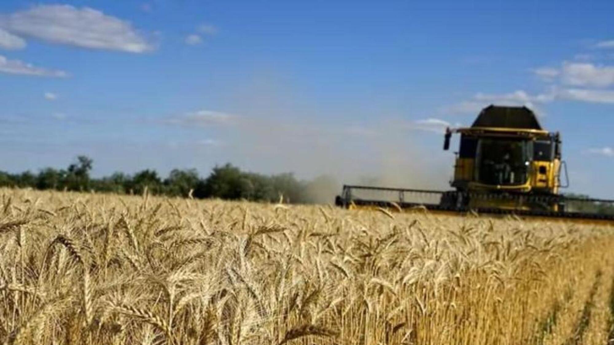 Il grano russo aggira le sanzioni
