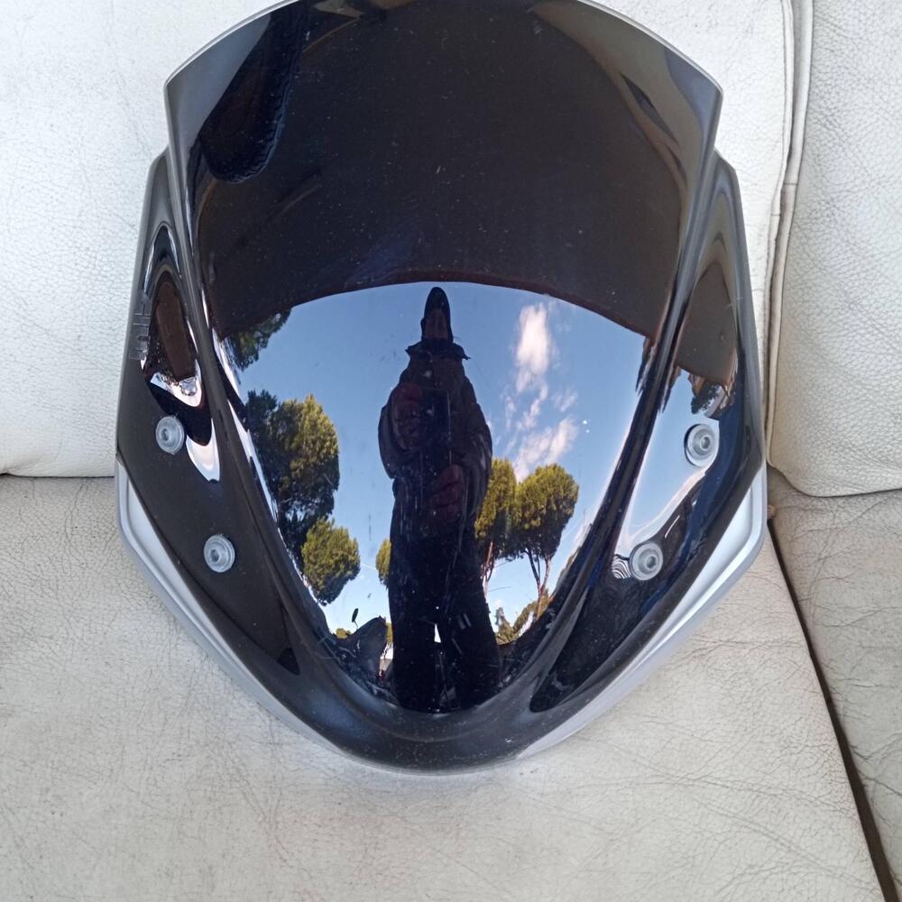 Cupolino Suzuki gladius