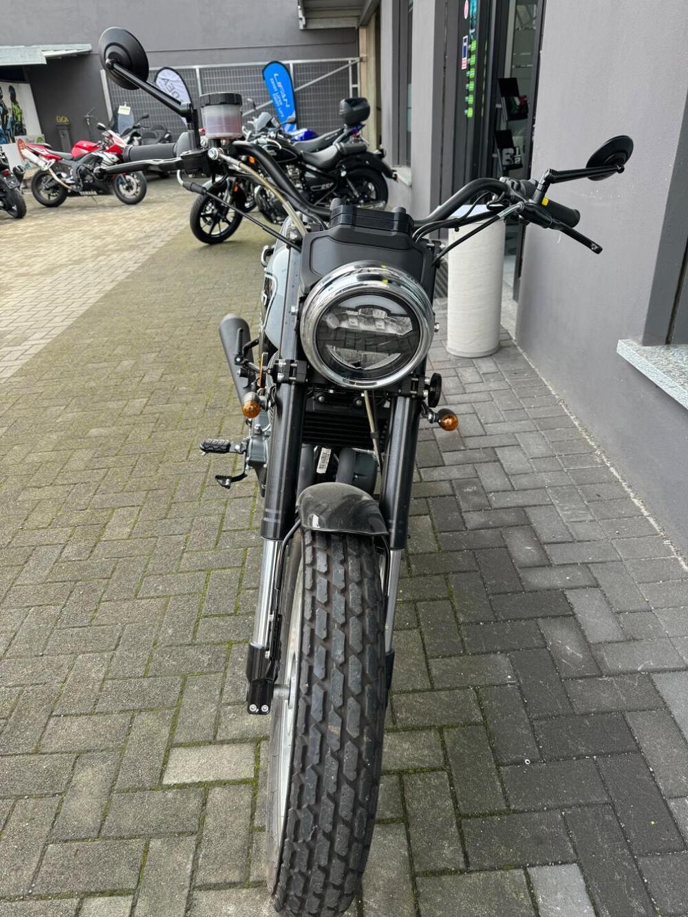 Mash Italia Dirt Track 650 (2019 - 20) (3)