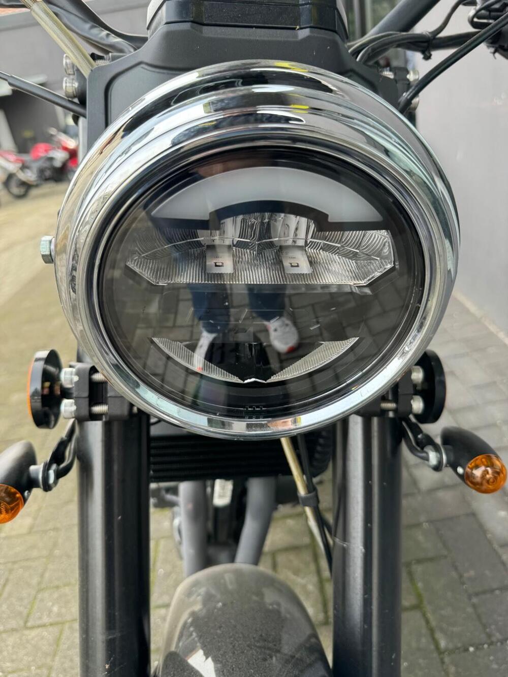 Mash Italia Dirt Track 650 (2019 - 20) (5)