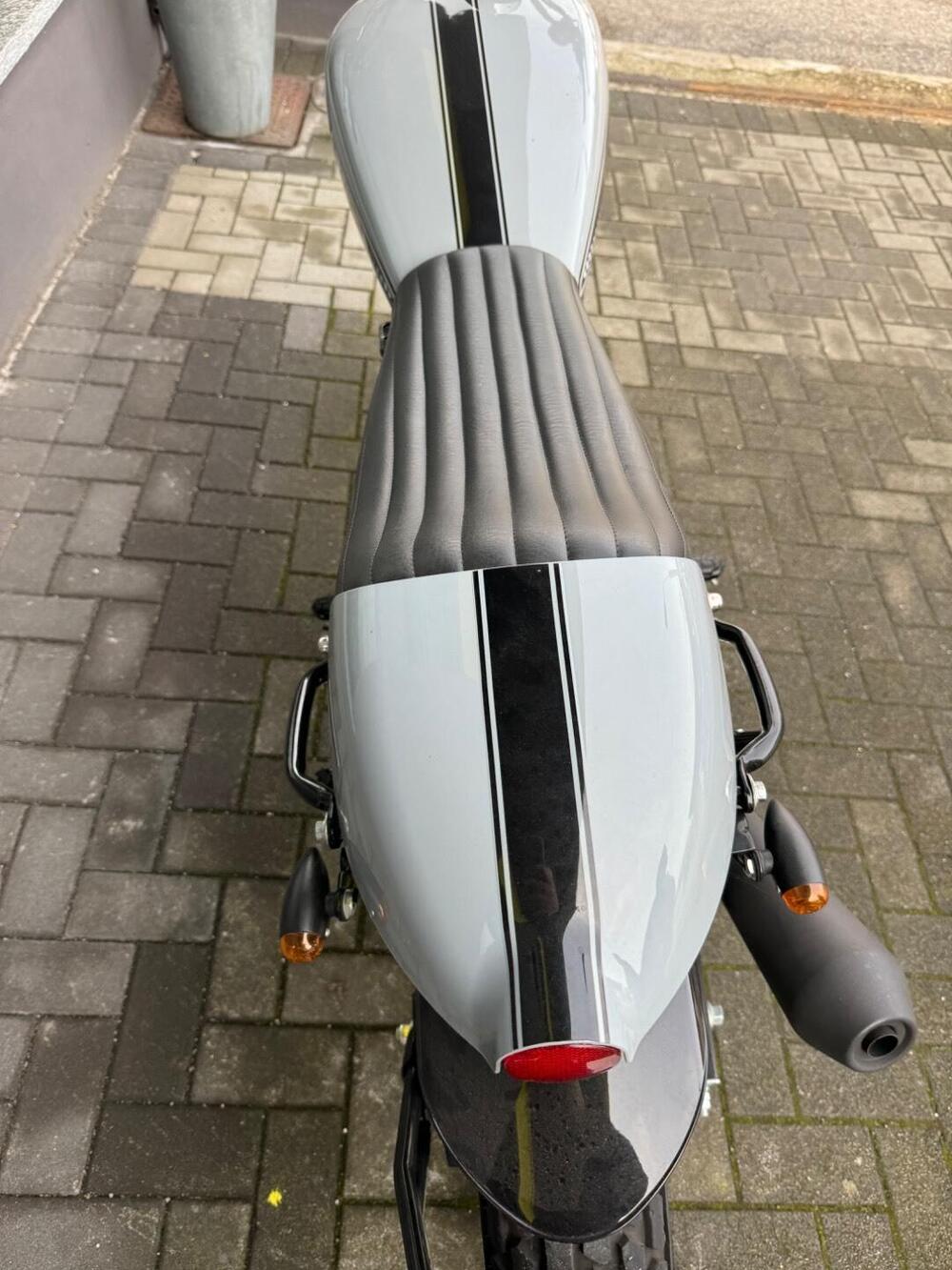 Mash Italia Dirt Track 650 (2019 - 20) (6)