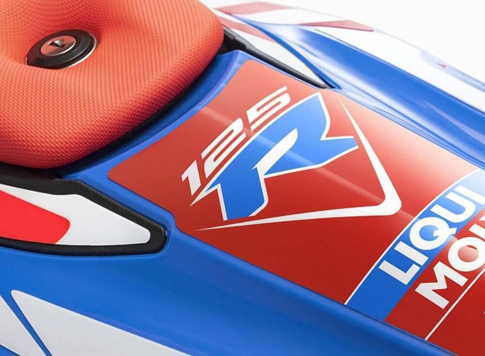 Betamotor RR 125 4T Motard R (2023 - 24) (9)