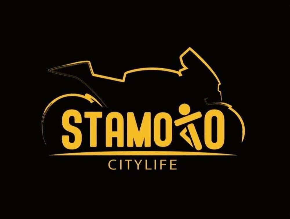 Fantic Motor Issimo City L1 (2023 - 25) (14)