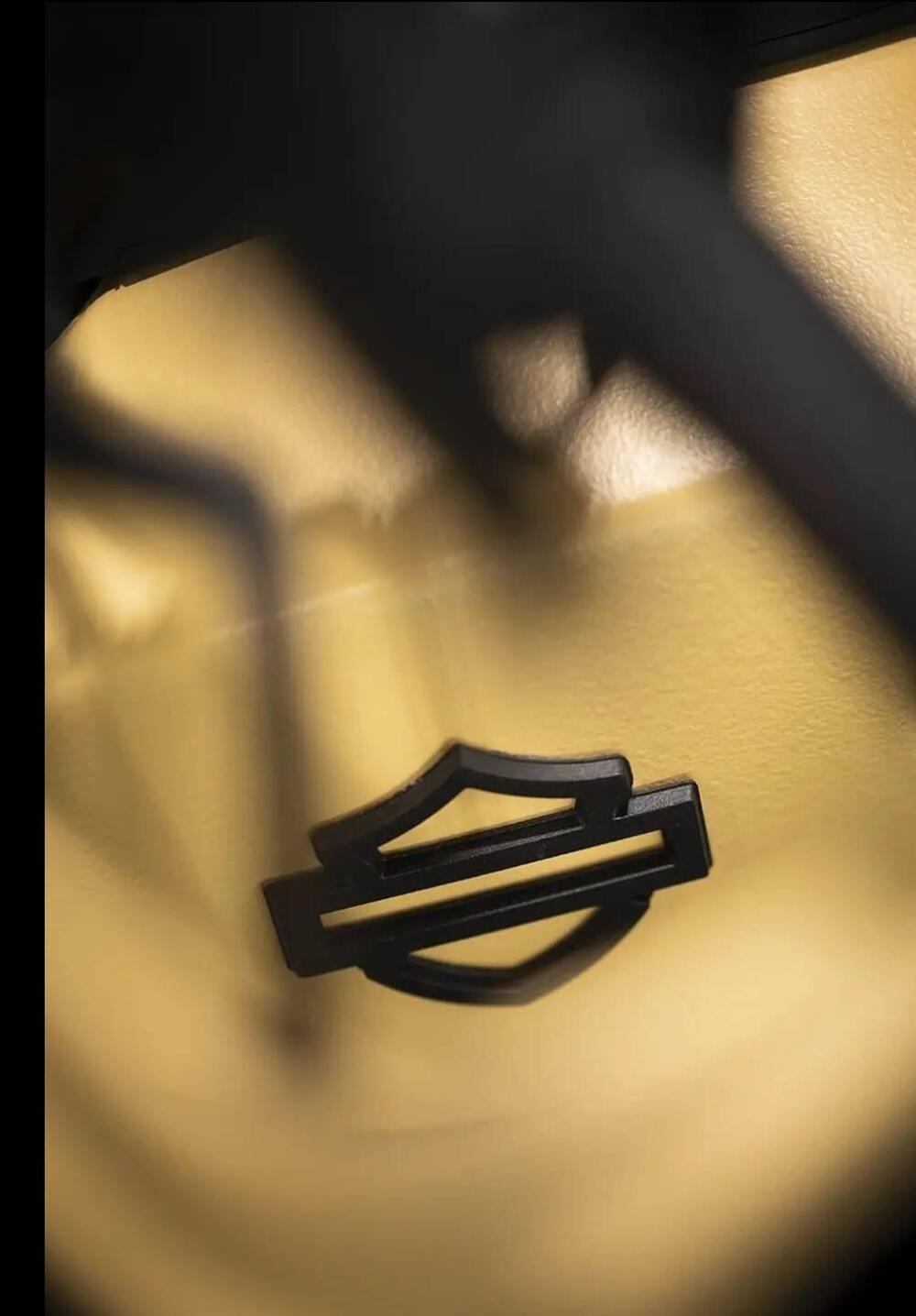 Harley-Davidson Pan America 1250 Special (2020 - 25) (11)