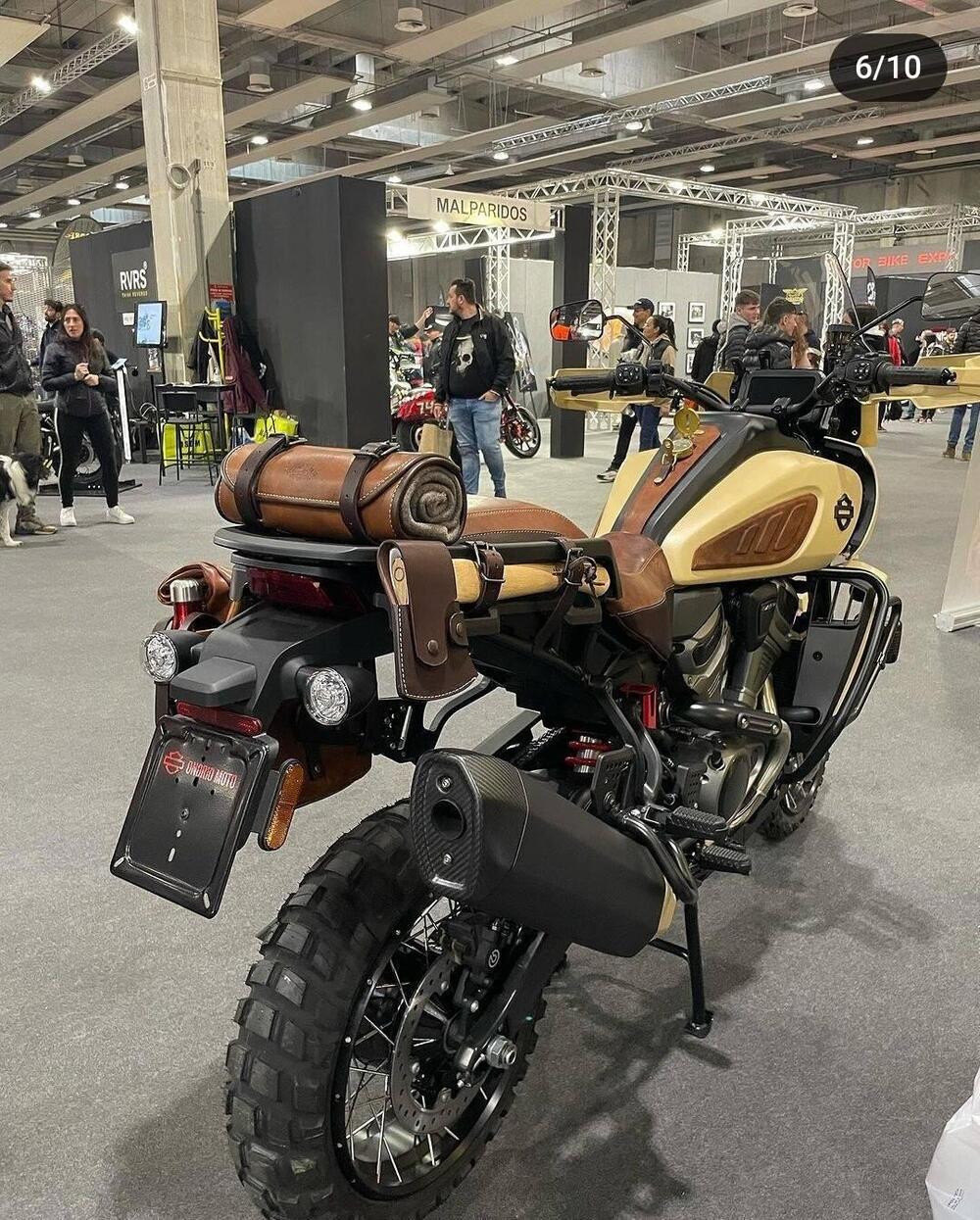 Harley-Davidson Pan America 1250 Special (2020 - 25) (10)