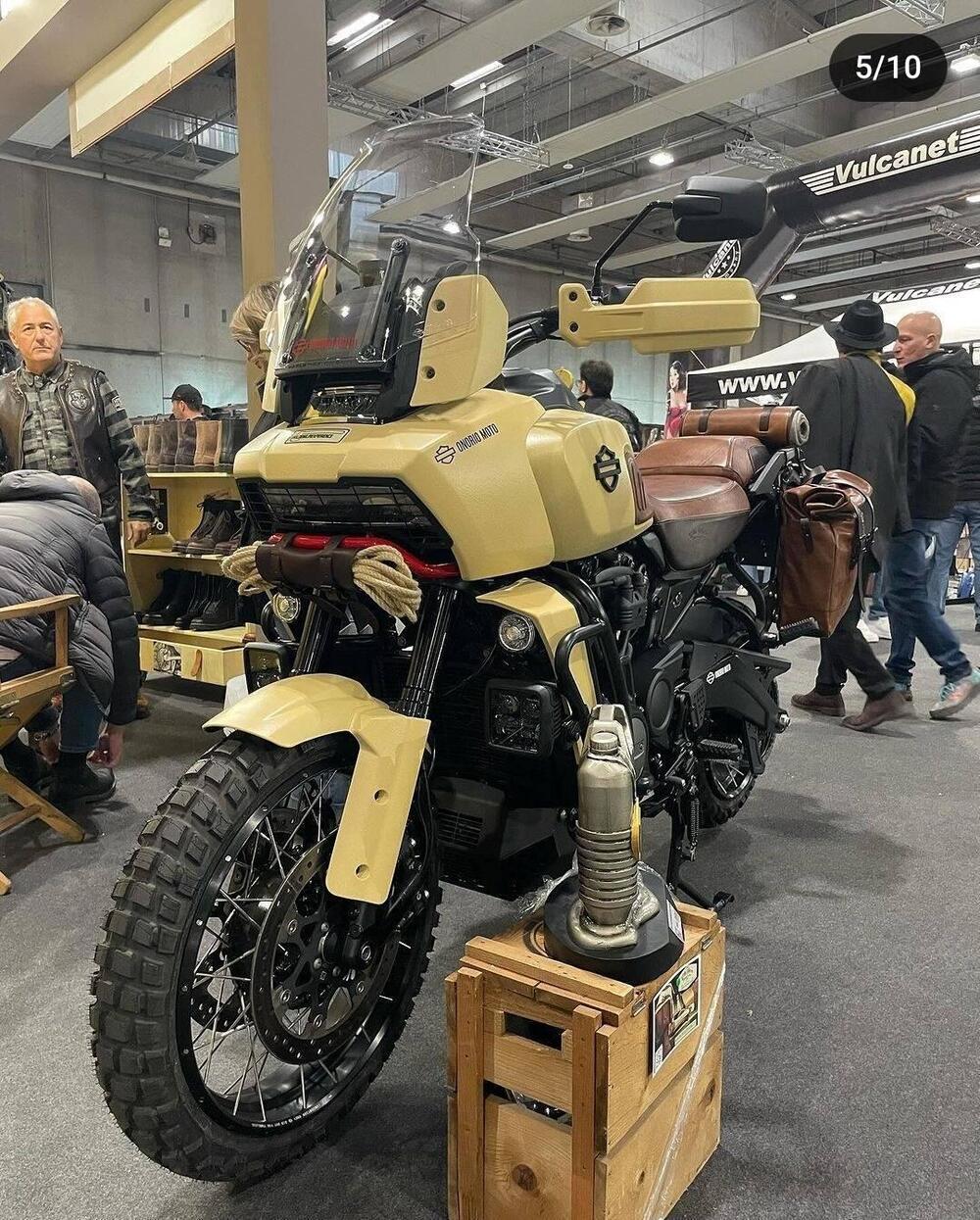 Harley-Davidson Pan America 1250 Special (2020 - 25) (3)