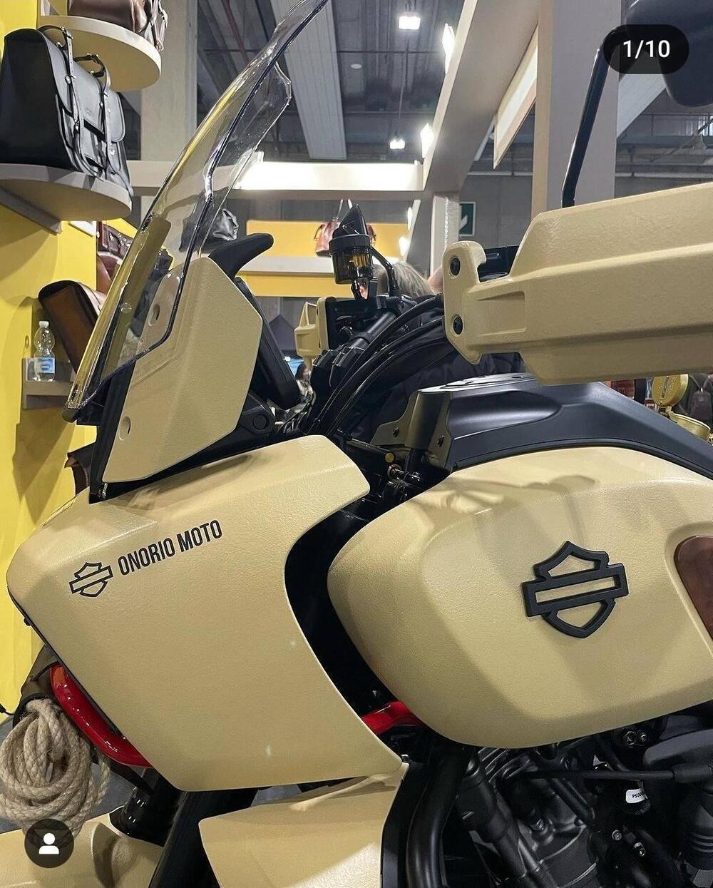 Harley-Davidson Pan America 1250 Special (2020 - 25) (9)