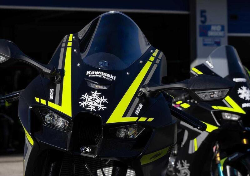 Kawasaki Ninja 1000 ZX-10RR Ninja 1000 ZX-10RR "Winter Test" Limited Edition (2024) (5)