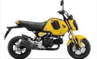 Honda MSX 125 Grom (2021 - 25) nuova