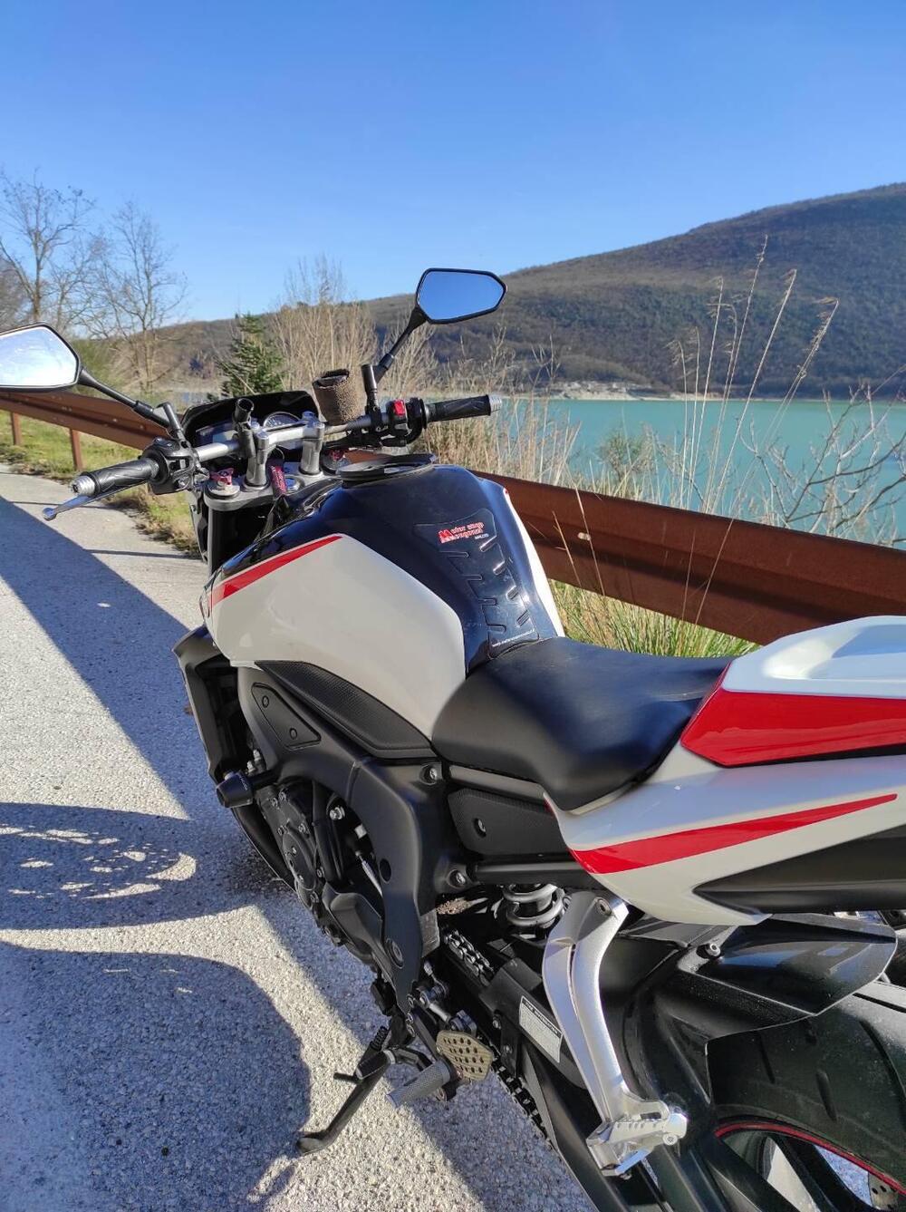 Yamaha FZ1 (2006 - 16) (2)