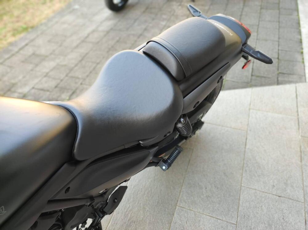 Kawasaki Eliminator 500 (2024 - 26) (6)