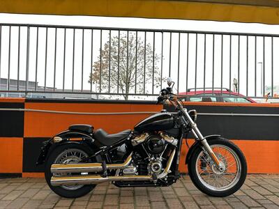 Harley-Davidson Softail Standard (2021 - 25) usata