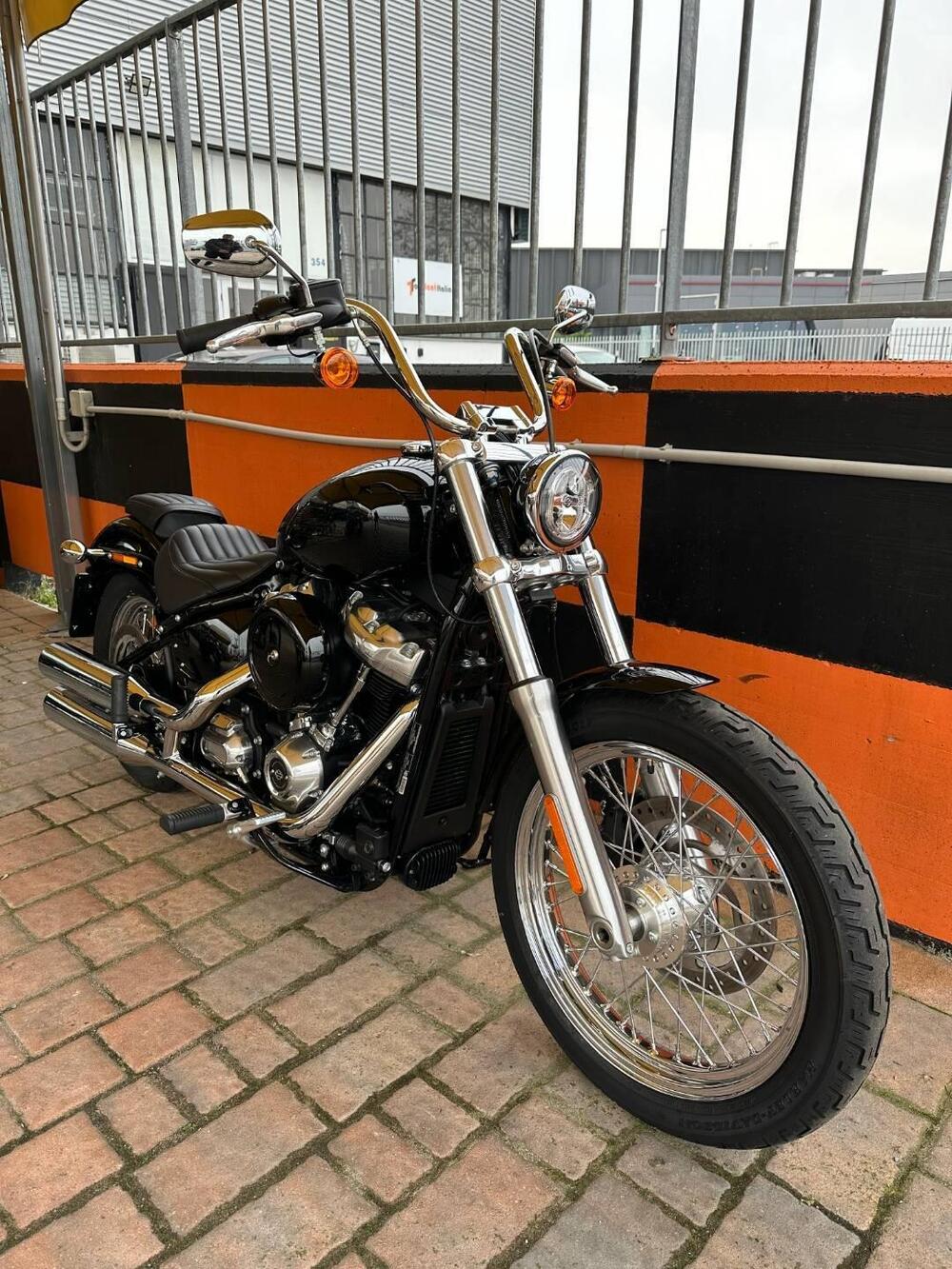 Harley-Davidson Softail Standard (2021 - 25) (2)