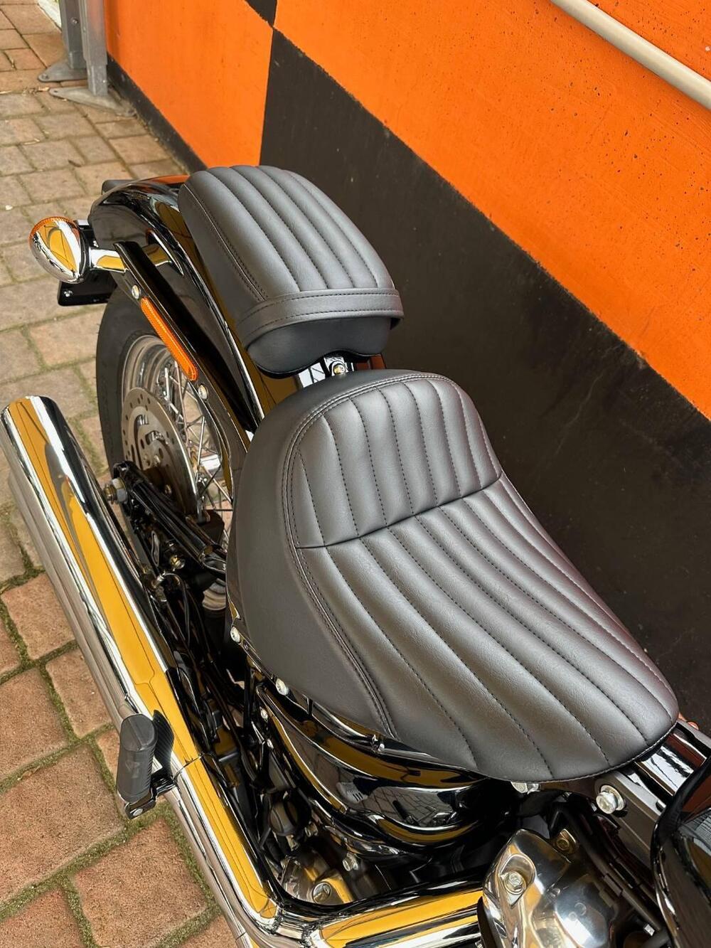 Harley-Davidson Softail Standard (2021 - 25) (5)