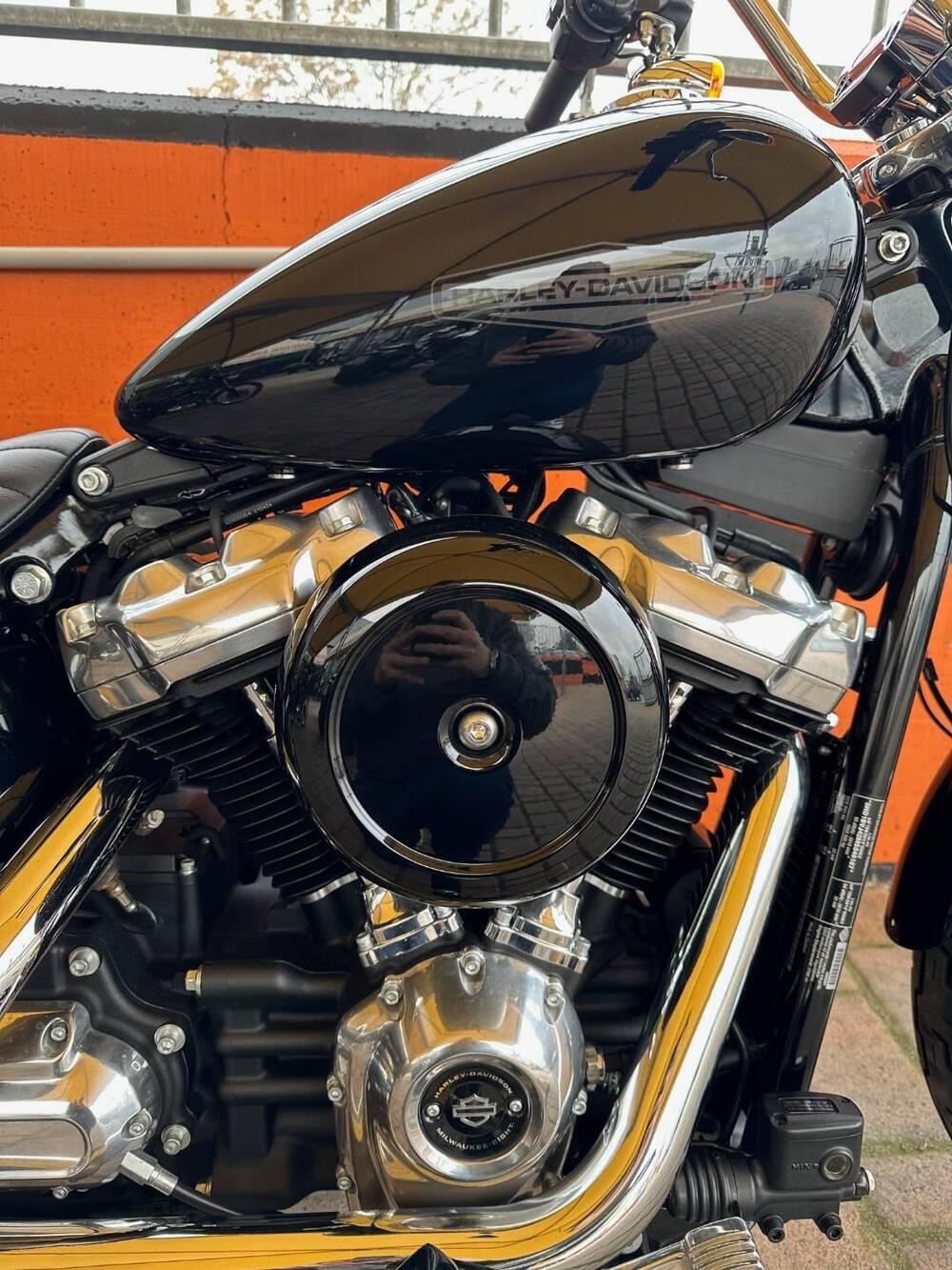Harley-Davidson Softail Standard (2021 - 25) (6)