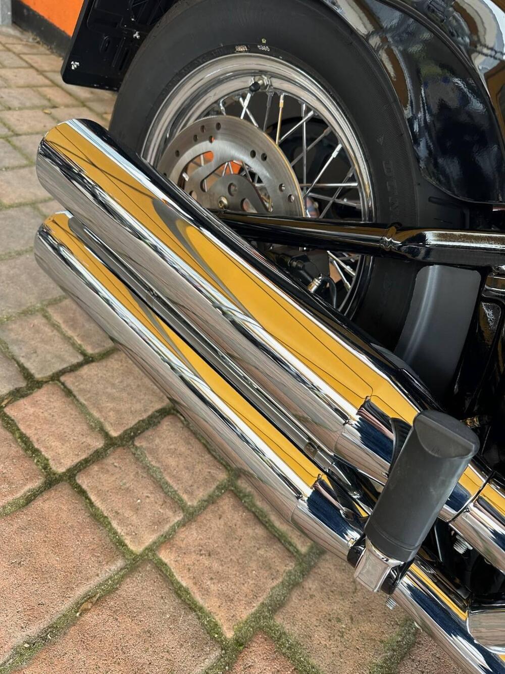 Harley-Davidson Softail Standard (2021 - 25) (7)