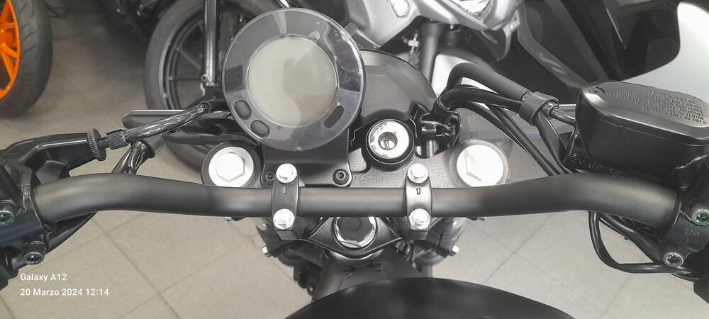 Kawasaki Eliminator 500 (2024 - 26) (5)