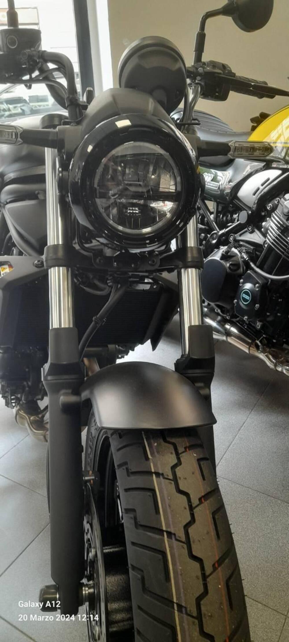 Kawasaki Eliminator 500 (2024 - 26) (6)