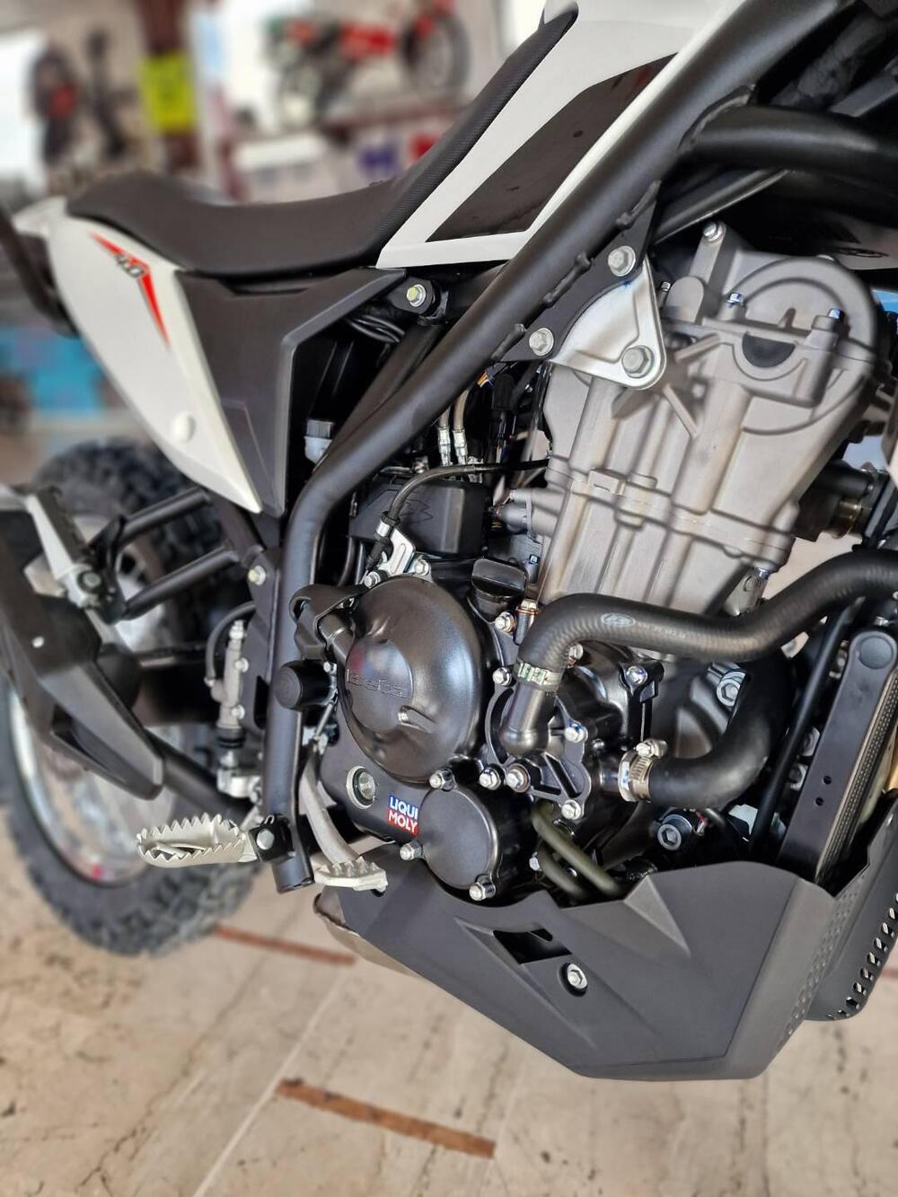 Betamotor Alp 4.0 (2024 - 26) (8)