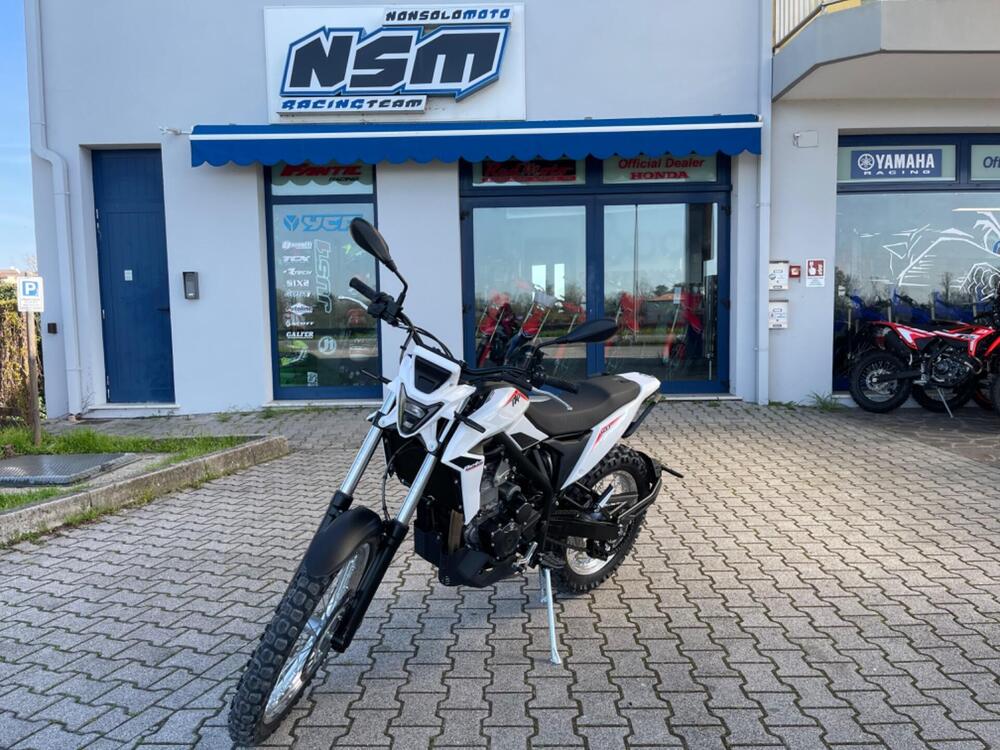 Betamotor Alp 4.0 (2024 - 25)