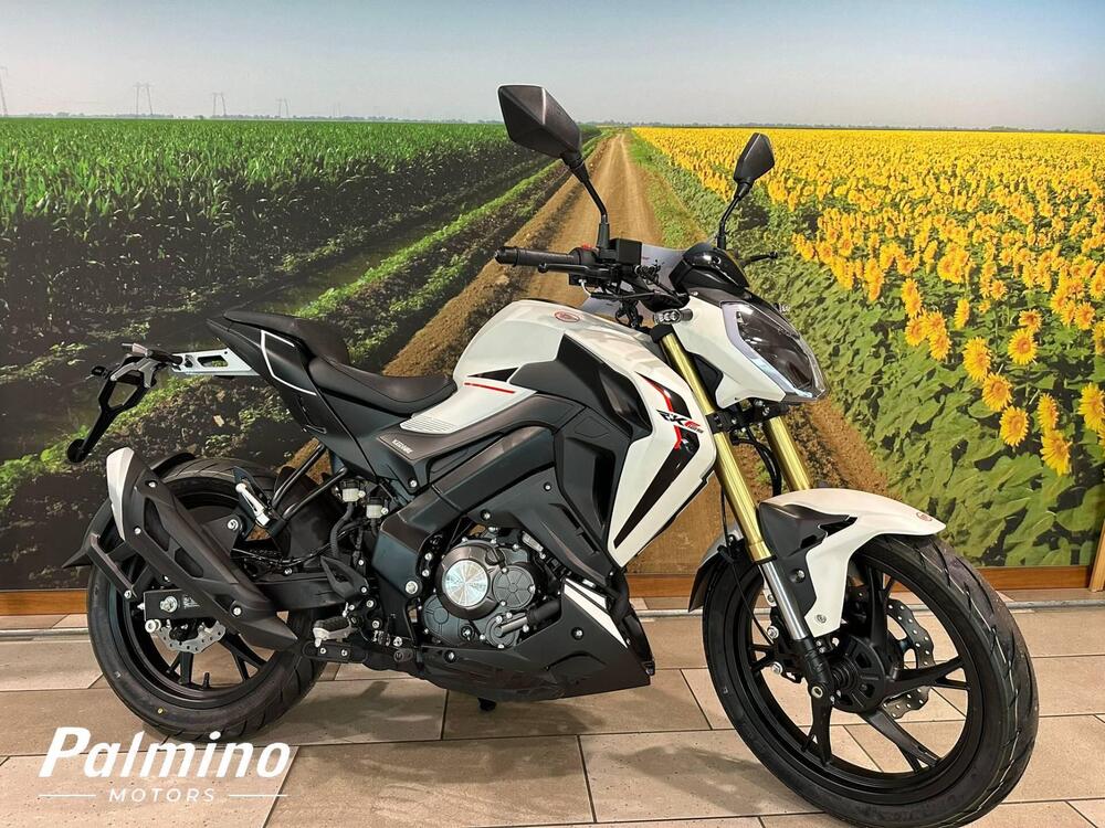 Keeway Motor RKF 125 (2021 - 24) (6)