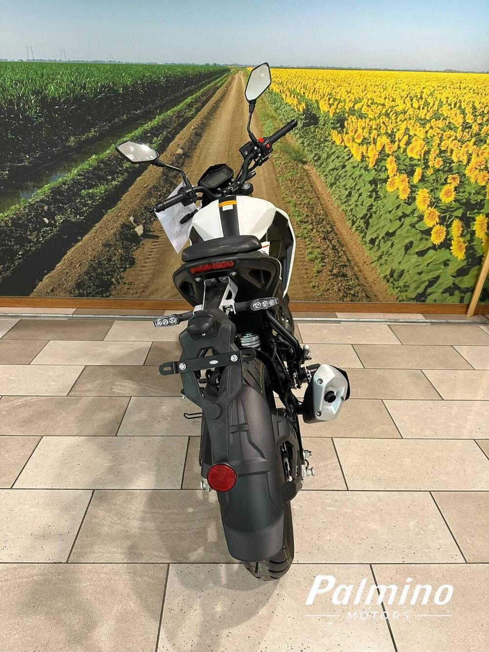 Keeway Motor RKF 125 (2021 - 24) (8)