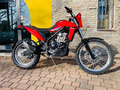 Betamotor Alp 4.0 (2024 - 25) nuova