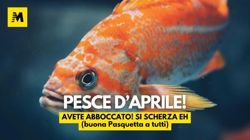 Pesce d&#039;aprile!