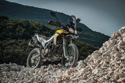 Voge Valico 300 Rally (2022 - 25) nuova