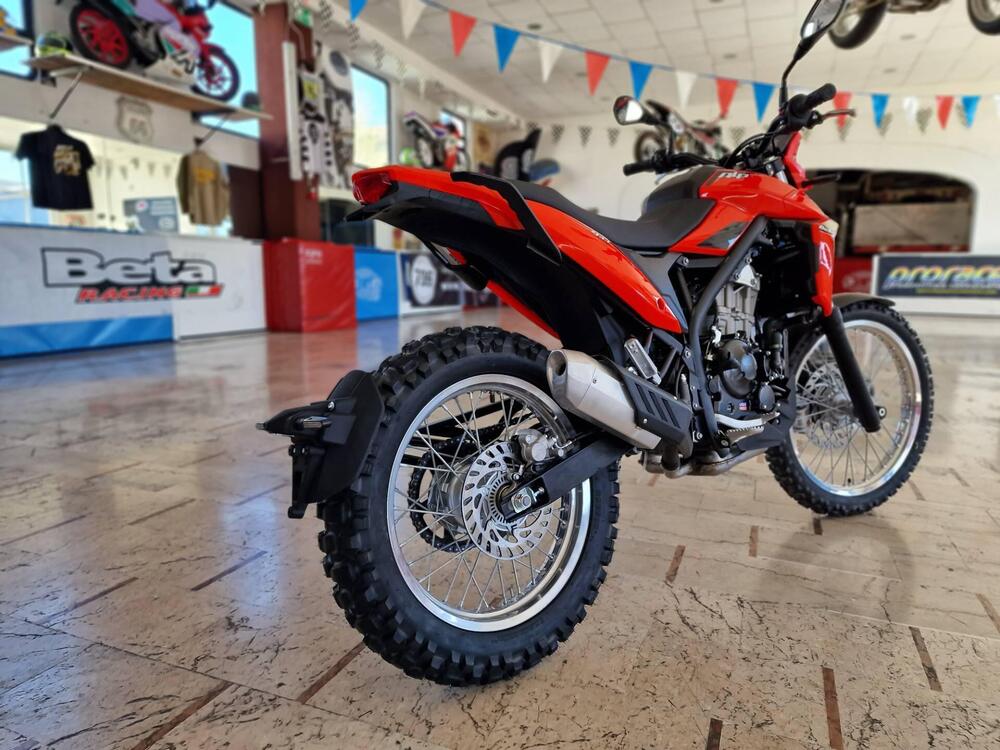 Betamotor Alp 4.0 (2024 - 26) (3)