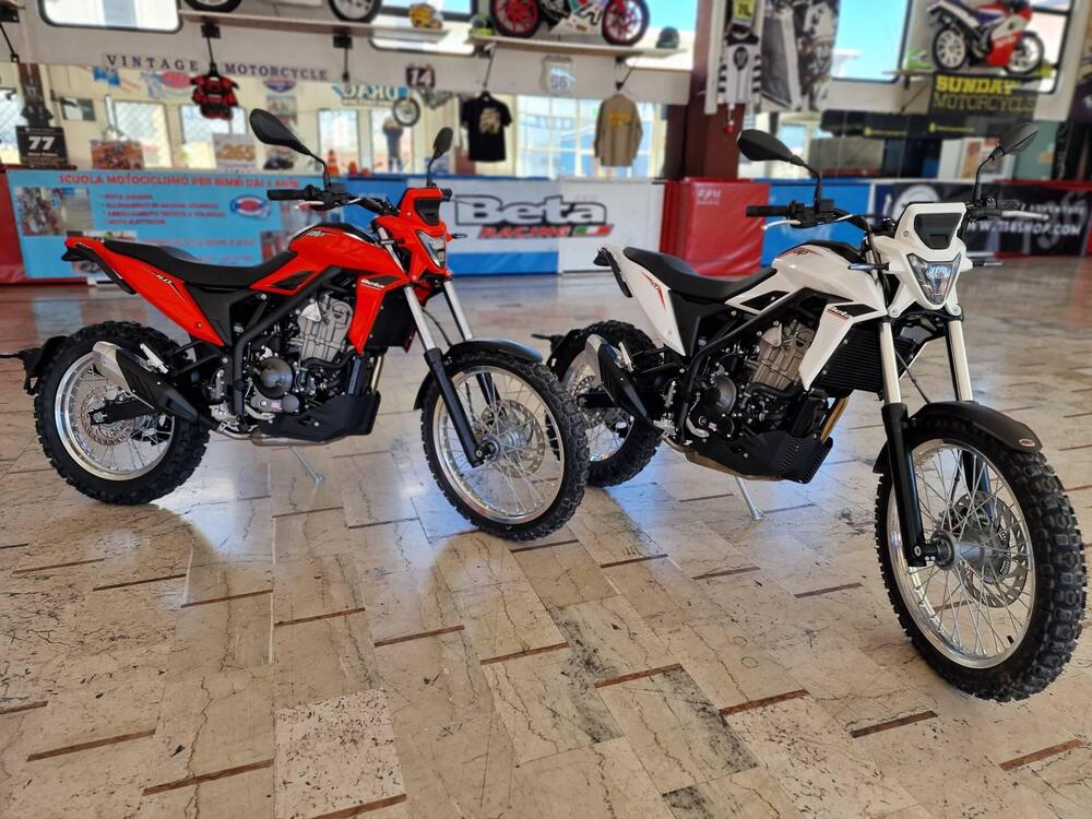 Betamotor Alp 4.0 (2024 - 26)