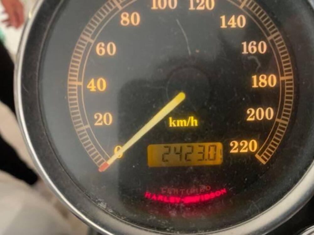 Harley-Davidson 1200 Custom (2001 - 03) - XL 1200C (4)