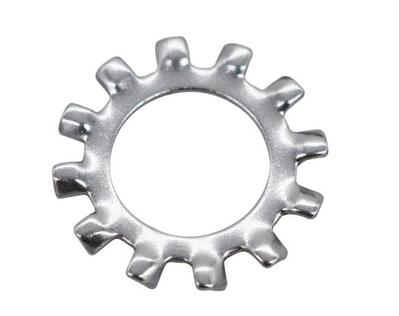 Rondelle dentellate esternamente da 1/4" Gardner-W 