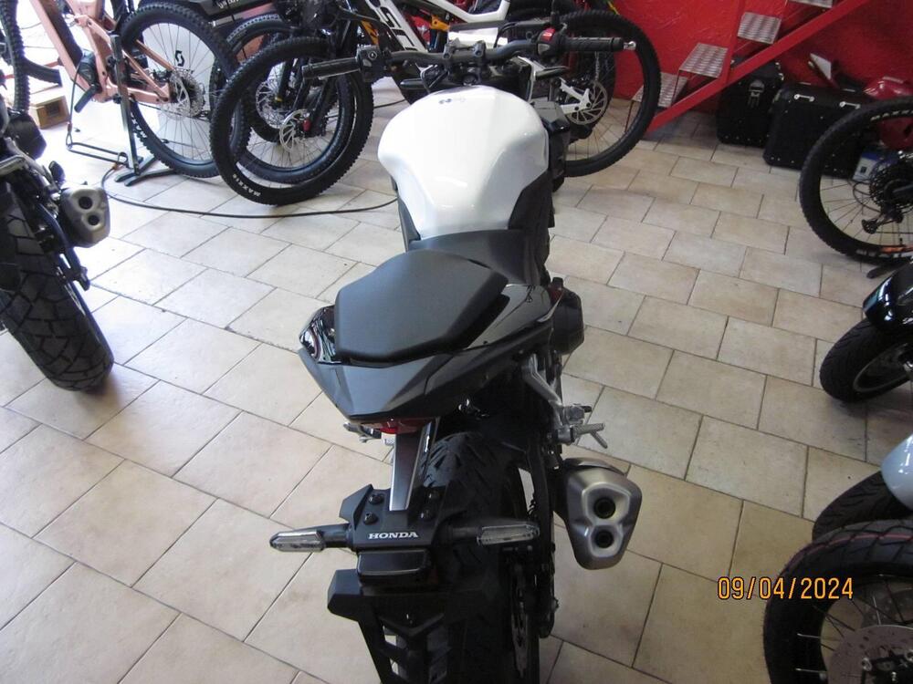 Honda CB 500 Hornet (2024 - 25) (5)