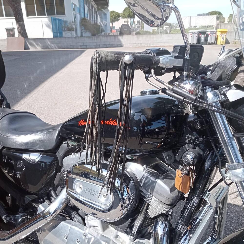 Harley-Davidson 883 Low (2008 - 12) - XL 883L (3)