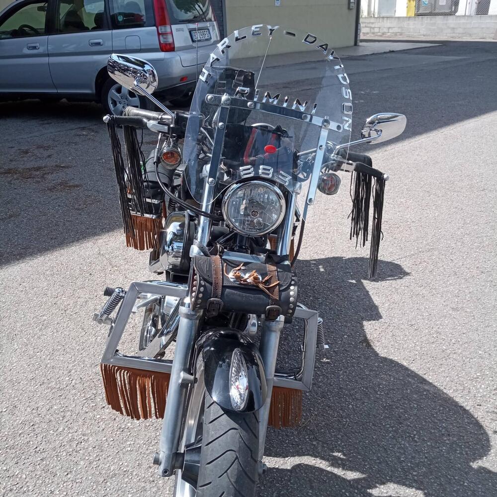 Harley-Davidson 883 Low (2008 - 12) - XL 883L (4)