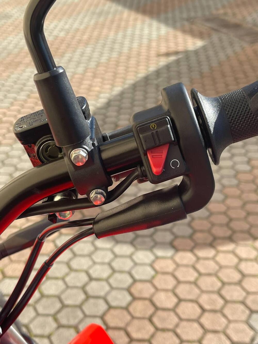 Betamotor Alp 4.0 (2024 - 26) (8)