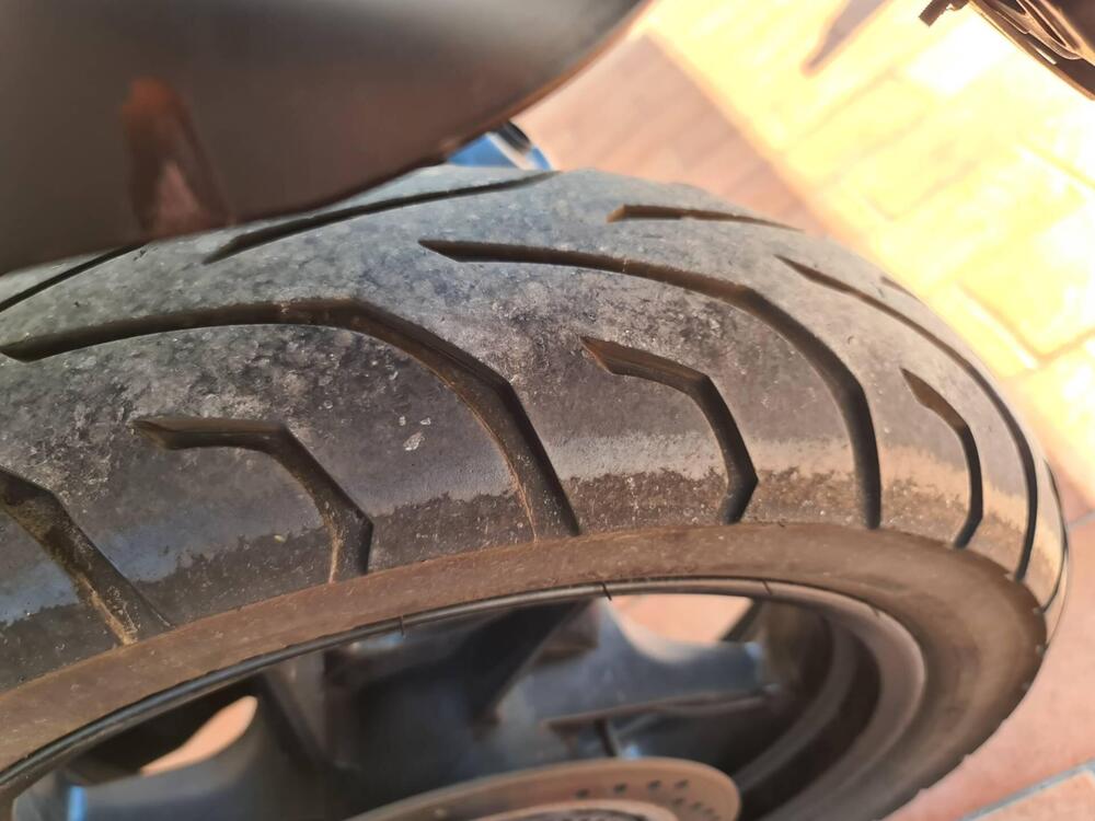 Moto Guzzi V7 Stone (2021 - 24) (5)