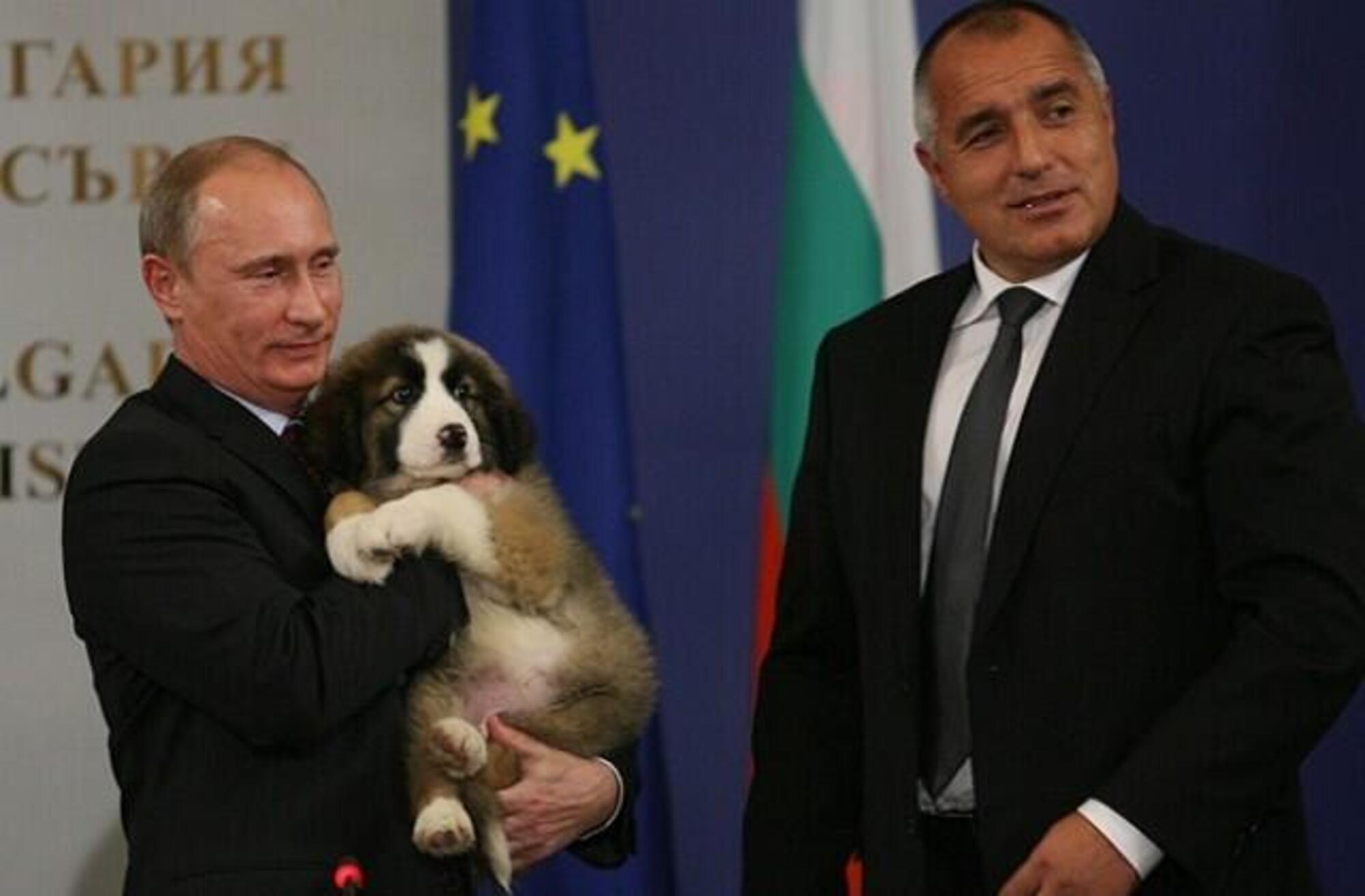 Vladimir Putin e Boyko Borissov
