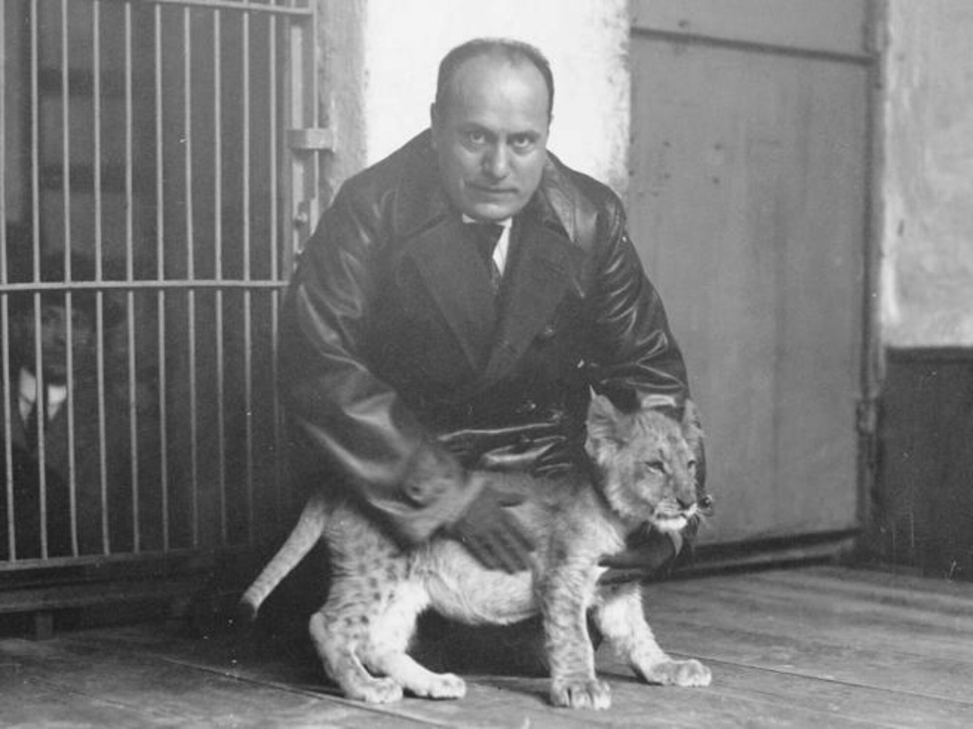 Mussolini con un leoncino: meglio di cento pecoroni?