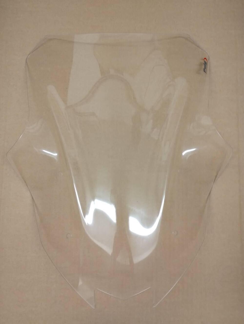 Cupolino Racing Puig Kawasaki Ninja 1000 SX