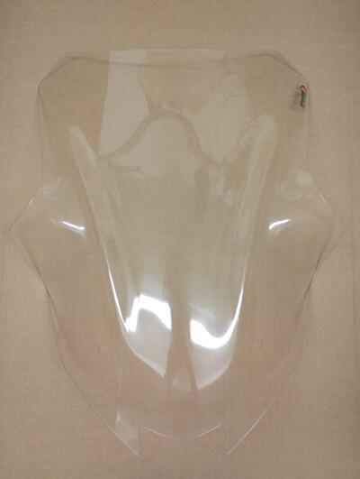 Cupolino Racing Puig Kawasaki Ninja 1000 SX