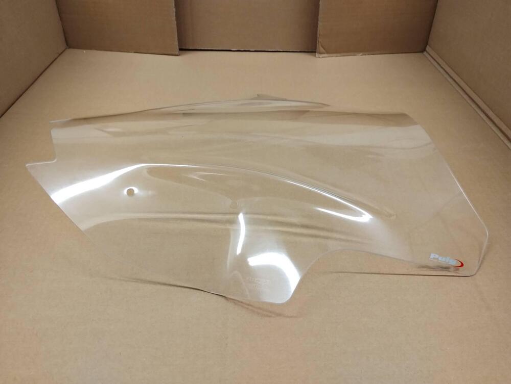 Cupolino Racing Puig Kawasaki Ninja 1000 SX (2)