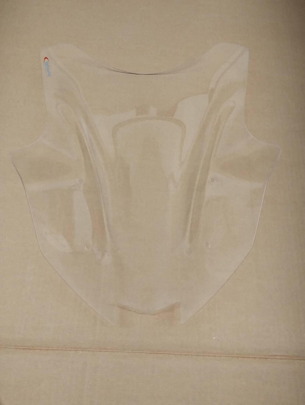 Cupolino Racing Puig Kawasaki Ninja 1000 SX (4)