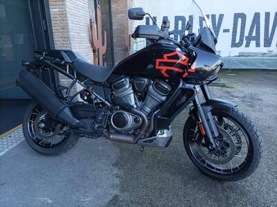 Harley-Davidson Pan America 1250 Special (2020 - 25) usata