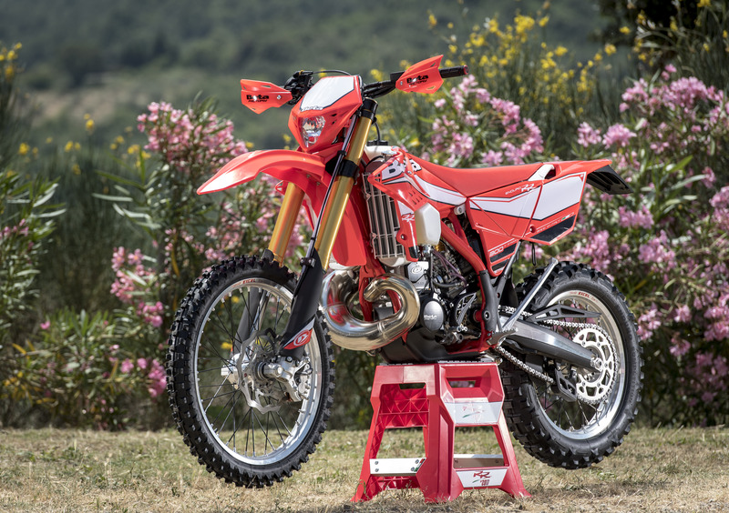 Betamotor RR 300 2T RR 300 2T Enduro (2017) (6)