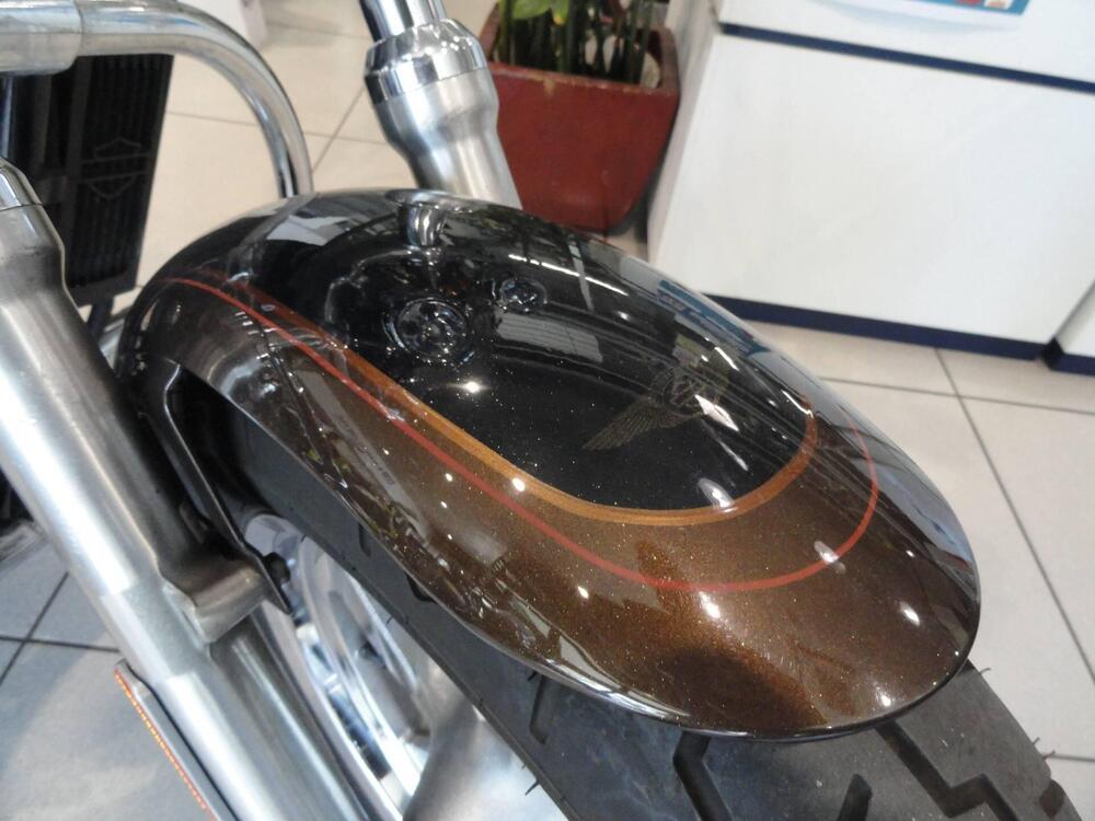 Harley-Davidson 1200 Custom (2007 - 13) - XL 1200C (4)